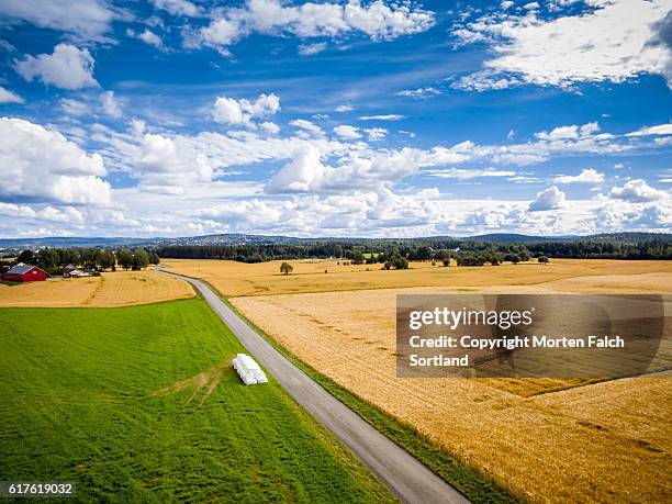 pastureland, akershus, norway - buskerud stock pictures, royalty-free photos & images