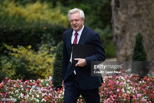 Britain's Brexit Secretary David Davis arrives ahead of a meeting between British Prime Minister Theresa May and the leaders of the three devolved...