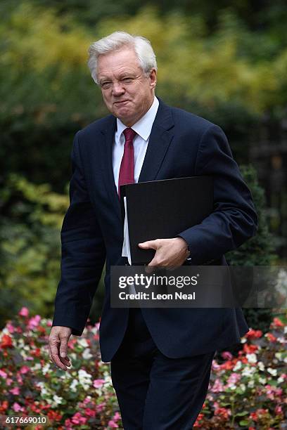 Britain's Brexit Secretary David Davis arrives ahead of a meeting between British Prime Minister Theresa May and the leaders of the three devolved...