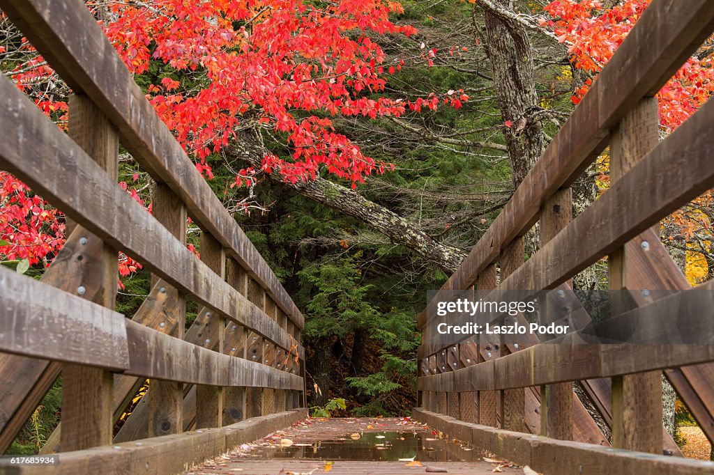 Wooden footbridge