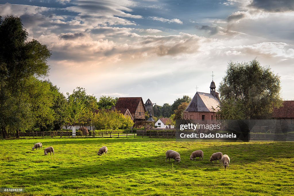 Scenic Village
