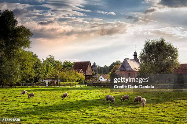 scenic village - farm in flanders stock pictures, royalty-free photos & images