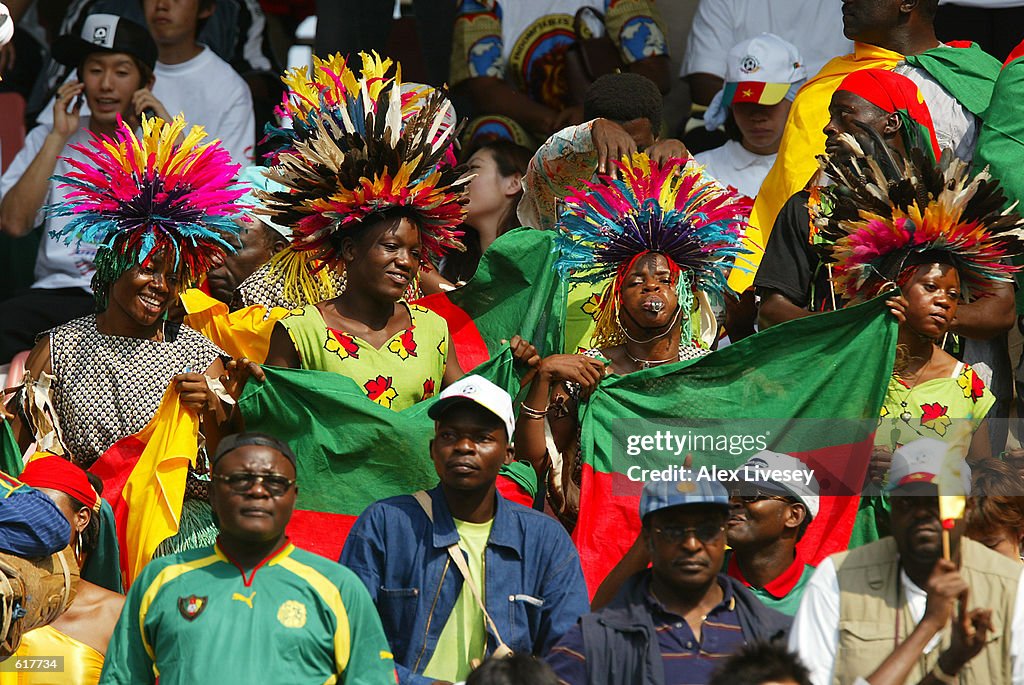 Cameroon Fans