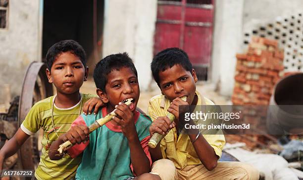 group of children enjoying sugarcane - the project portraits stock pictures, royalty-free photos & images