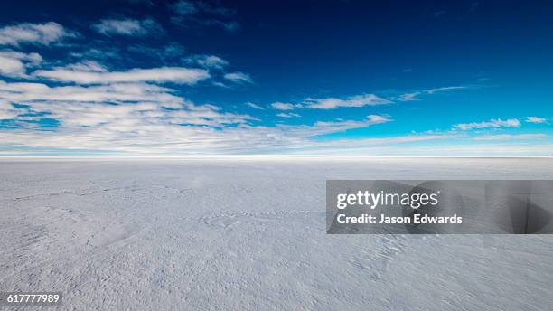 the vast and featureless plain and horizon of the ross ice shelf. - horizonte sobre tierra fotografías e imágenes de stock