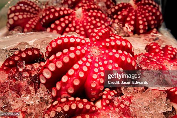 the bright pink suckers of octopus on ice for sale in a fish market. - mercato del pesce di tsukiji foto e immagini stock