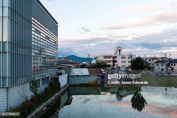 a small rice paddy next to an office building in japan. - small office building exterior stock pictures, royalty-free photos & images