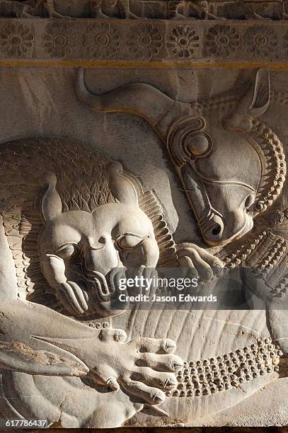 a limestone frieze of a lion battling a bull carved into a stone wall at persepolis. - persian wall art stock-fotos und bilder