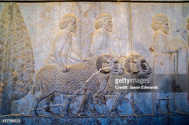 carved bas reliefs depict envoys of the subject nations of persia bringing gifts to the king. - persian wall art stock-fotos und bilder