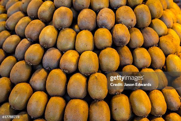 rows of neatly stacked kiwi fruit for sale in a fresh food market. - kiwi foto e immagini stock