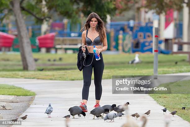 Danielle Vasinova is seen on October 24, 2016 in Los Angeles, California.