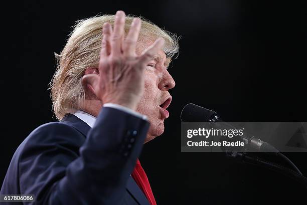 Republican presidential candidate Donald Trump speaks during a campaign rally at the MidFlorida Credit Union Amphitheatre on October 24, 2016 in...