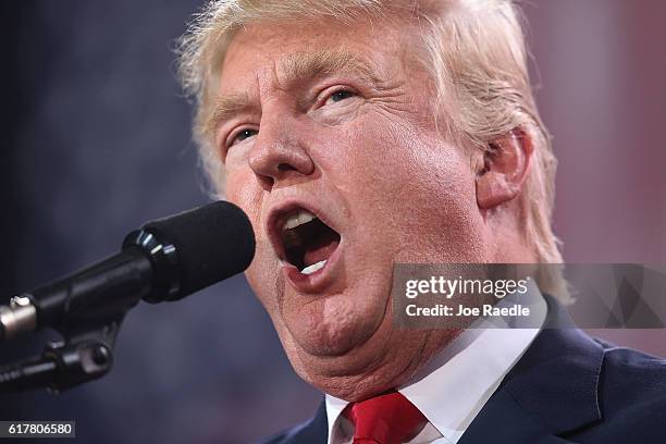 Republican presidential candidate Donald Trump speaks during a campaign rally at the MidFlorida Credit Union Amphitheatre on October 24, 2016 in...