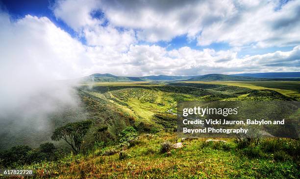 aerial view of olmoti crater in tanzania - volcanic crater stock-fotos und bilder