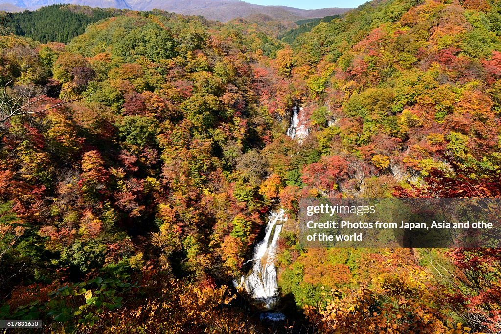 Kirifuri Falls in Autumn, Nikko, Japan