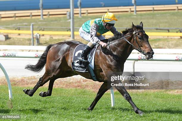 Vantaggio ridden by Luke Nolen wins MyPunter.com Class 1 Handicap at Cranbourne Racecourse on October 25, 2016 in Cranbourne, Australia.