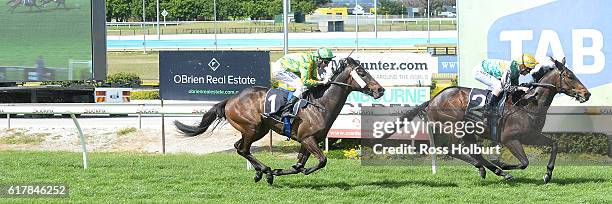 Vantaggio ridden by Luke Nolen wins MyPunter.com Class 1 Handicap at Cranbourne Racecourse on October 25, 2016 in Cranbourne, Australia.