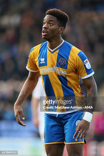 Ivan Toney of Shrewsbury Town during the Sky Bet League One match between Shrewsbury Town and Northampton Town at Greenhous Meadow on October 22,...