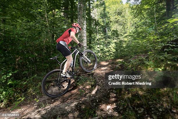 "mountain biker riding on track through forest, bavaria, germany" - steil stock-fotos und bilder