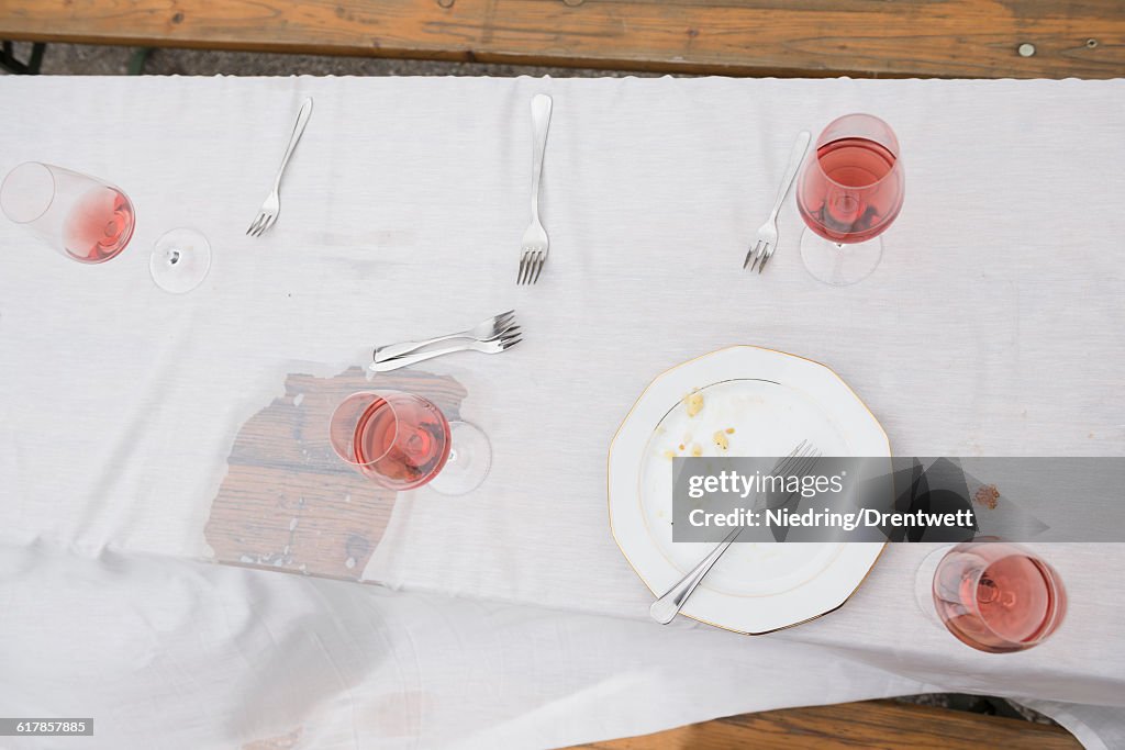 "High angle view of plate with remains and half full glasses of red wine on picnic table, Bavaria, Germany"