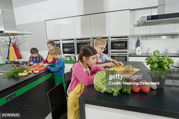 "students cutting vegetables in home economics class, bavaria, germany" - home economics class stock pictures, royalty-free photos & images