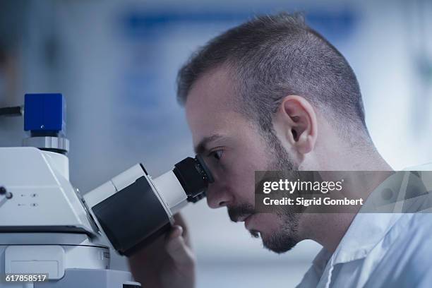 Someone Using Optical Microscope Man Looking In Microscope Photos and Premium High Res Pictures - Getty ...