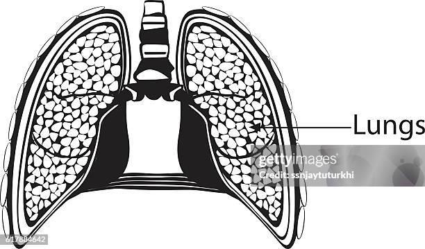 lungs - man asthma stock illustrations