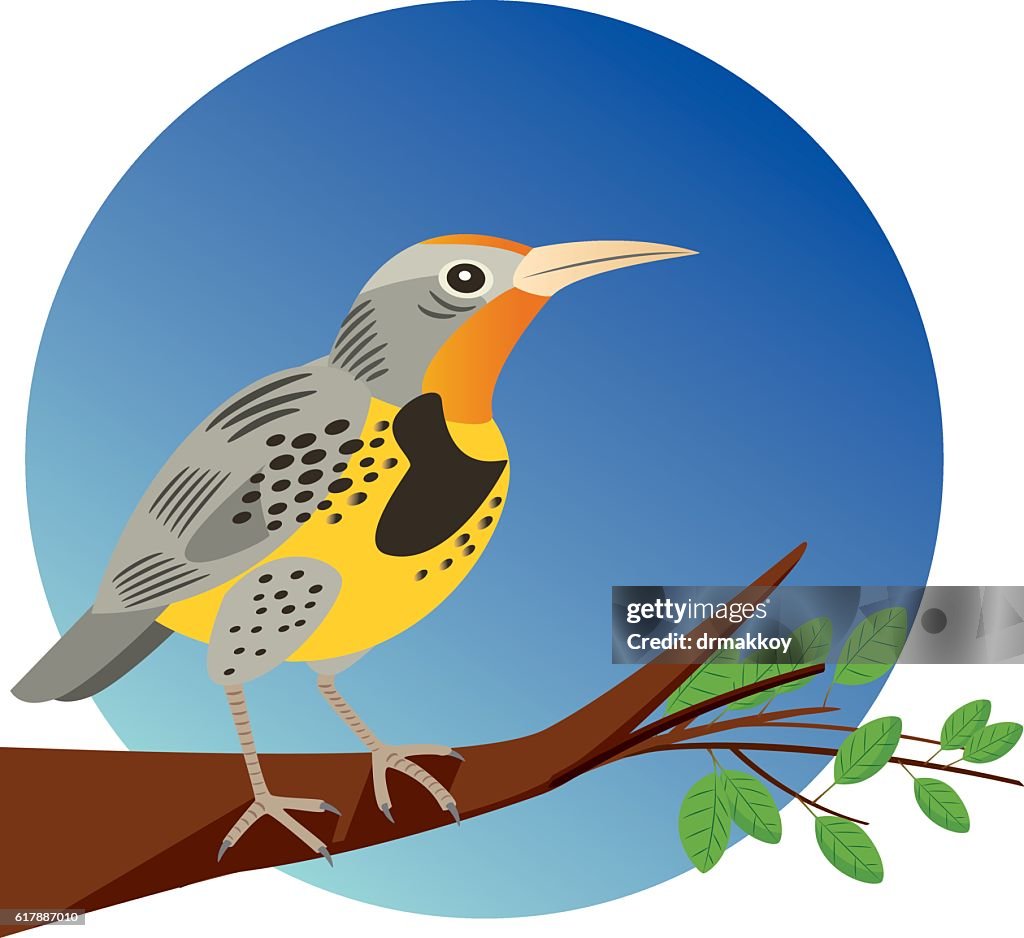 Western Meadowlark