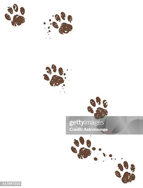 Ilustraciones de Pata De Animal - Getty Images Ilustraciones de Pata De Animal - Getty Images