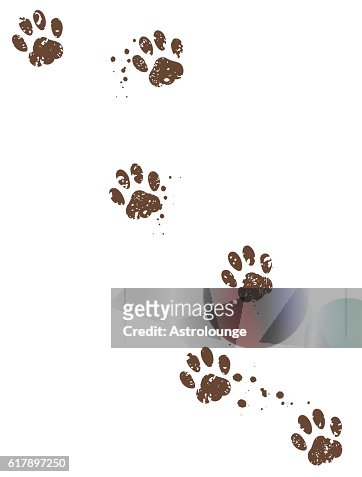 1,800 Paw Print High Res Illustrations - Getty Images