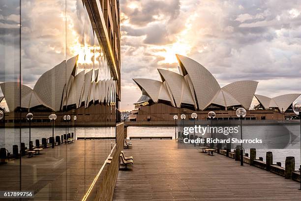 sydney opera house sonnenaufgang - sydney opera house stock-fotos und bilder