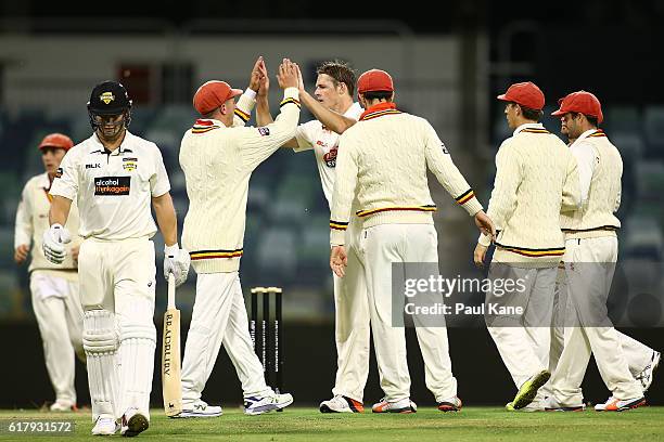 Joe Mennie of the Redbacks celebrates the wicket of Hilton Cartwright of the Warriors during day one of the Sheffield Shield match between Western...