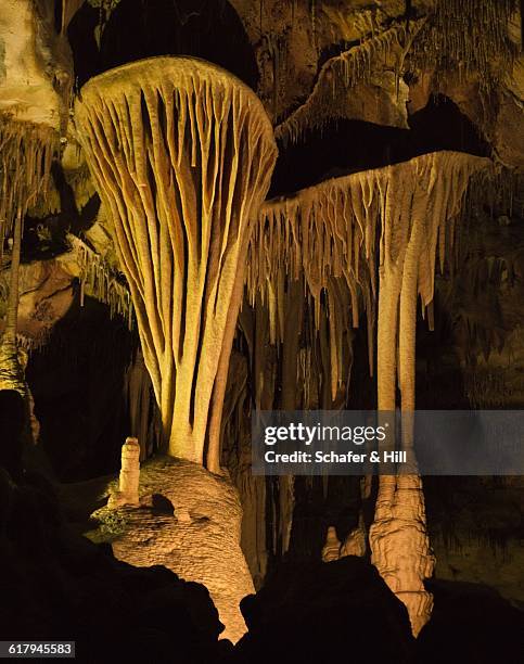 america the beautiful - lehman caves nevada stock pictures, royalty-free photos & images