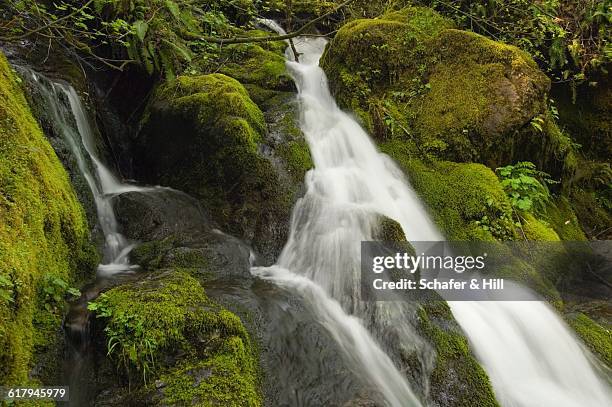 america the beautiful - siskiyou stock pictures, royalty-free photos & images