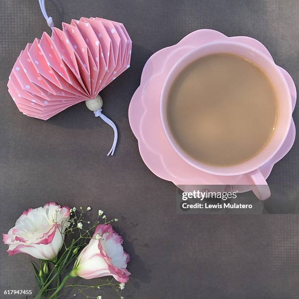 flat lay - farblich abgestimmt stock-fotos und bilder