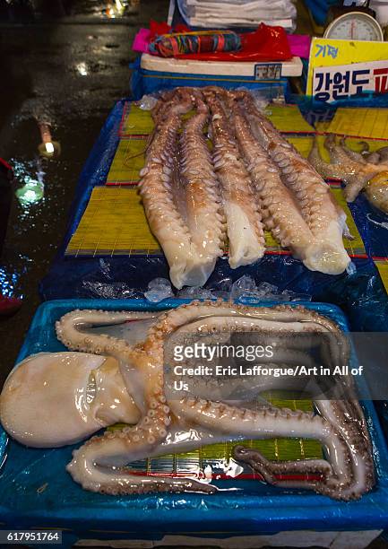 Octopus in noryangjin fisheries wholesale market, national capital area, seoul, South Korea on May 18, 2016 in Seoul, South Korea.