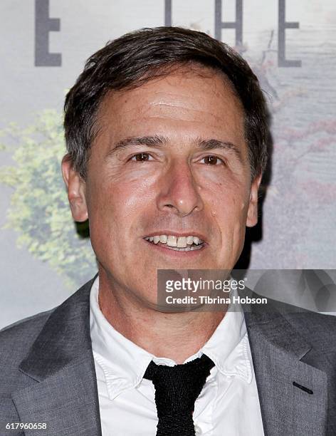 David O. Russell attends the Screening of National Geographic Channel's 'Before The Flood' at Bing Theater At LACMA on October 24, 2016 in Los...