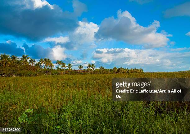 Landscape in the country, inhambane, Mozambique on July 12, 2013 in Inhambane, Mozambique.
