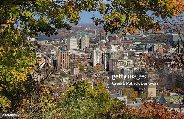 autumn view of downtown montreal, quebec, canada from mount royal - mont royal photos et images de collection