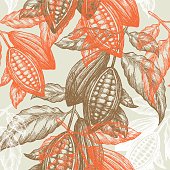 Cocoa beans seamless pattern. Cocoa tree illustration. Chocolate cocoa beans.