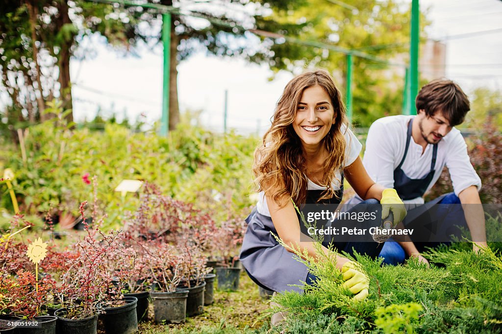 Im Gartenbau