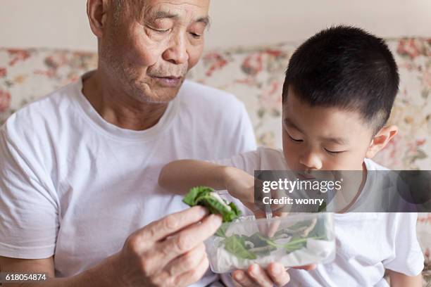 grandfather introducing grandson to silkworm - silkworm stock pictures, royalty-free photos & images