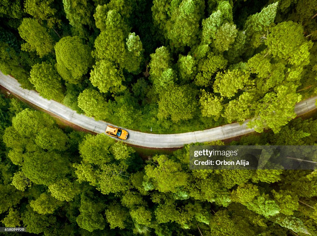 Taxi driving through Park