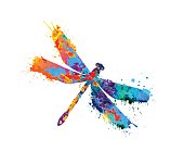 dragonfly of splash paint
