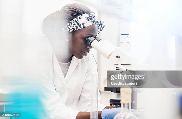 scientist looking into the microscope - precision oncology stock pictures, royalty-free photos & images