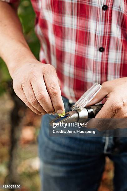 farmer squeezing grape in refractometer - refractometer stock pictures, royalty-free photos & images