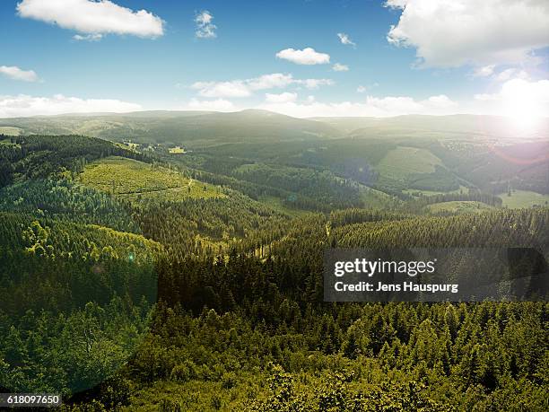 scenic view of green landscape - thuringia foto e immagini stock