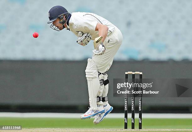 Cameron White of Victoria is struck in the chest by a delivery bowled by Jackson Bird of Tasmania during day two of the Sheffield Shield match...