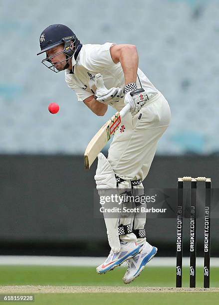 Cameron White of Victoria is struck in the chest by a delivery bowled by Jackson Bird of Tasmania during day two of the Sheffield Shield match...