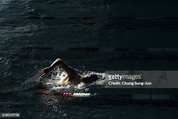 Competitor warms up before heats on the day two of the FINA Swimming World Cup 2016 Tokyo at Tokyo Tatsumi International Swimming Pool on October 26,...